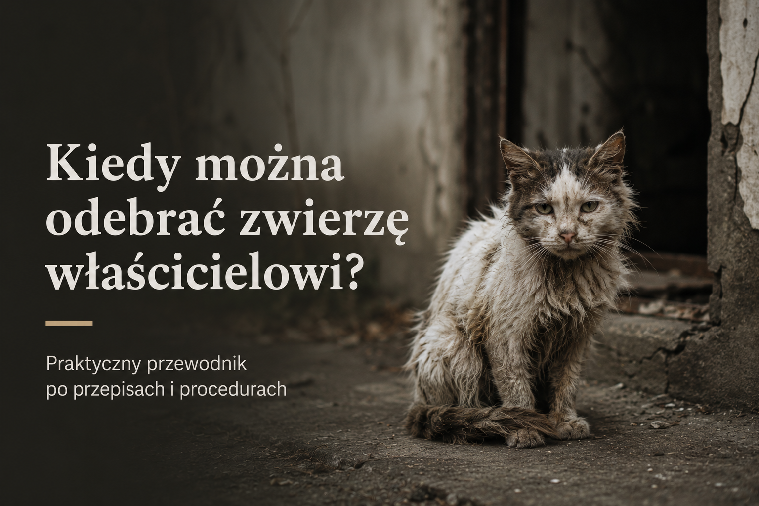 Kiedy można odebrać zwierzę właścicielowi?